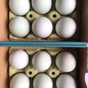comprar huevos azules