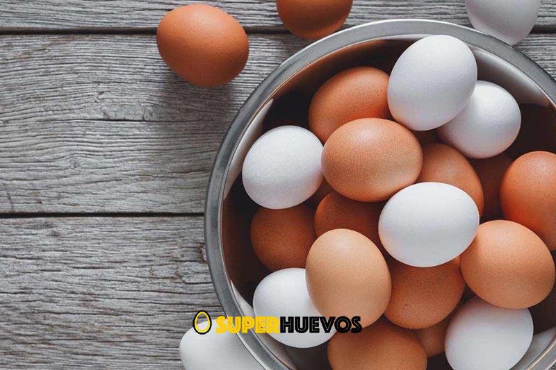 huevos blancos o marrones y diferencias