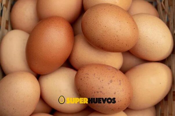 propiedades de los huevos